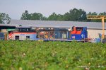METX 97